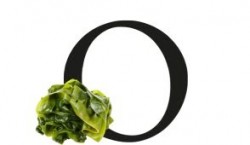 Wyciąg z glonów Wakame