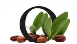 Olej jojoba