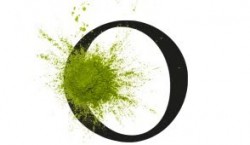 Ekstrakt z herbaty Matcha
