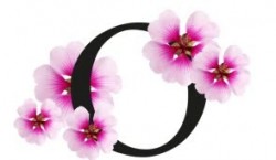 Olejek eteryczny z geranium